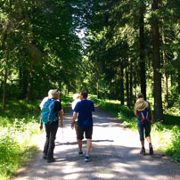 Gefhrte Wanderungen