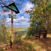 Blick ins Schwarzatal