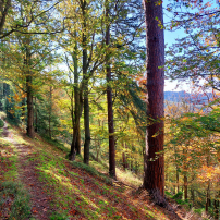 Schmale Wanderwege verlangen Kondition - Bildautor: Bianca Parthon