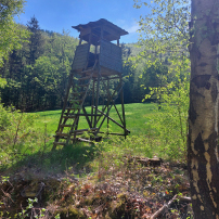 Tour zur Schabsheider Aussicht