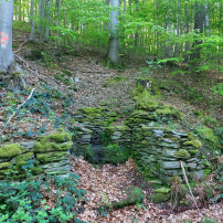 Quelle im Wald - Bildautor: Bianca Parthon