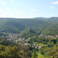 ber die Fasanerie zum Trippstein