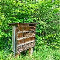 Bienenhotel auf der Streuobstwiese - Bildautor: Bianca Parthon